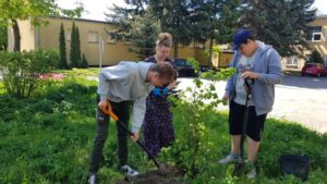 projekt Greening the Planet