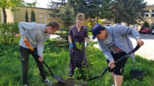 projekt Greening the Planet