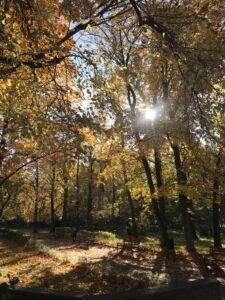 Wycieczka do ZOO i Orientarium