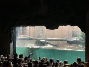 Wycieczka do ZOO i Orientarium