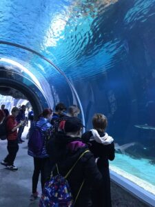 Wycieczka do ZOO i Orientarium