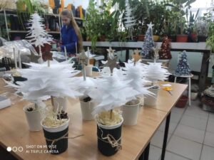 Choinka u ogrodników