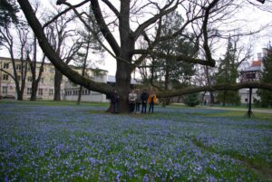 wycieczka park klepacza