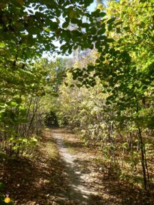 Oderwanie się od zgiełku miast