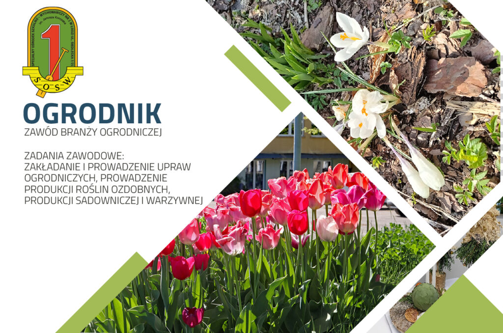 ogrodnik zadania zawodowe