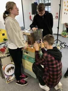 warsztaty pszczelarskie