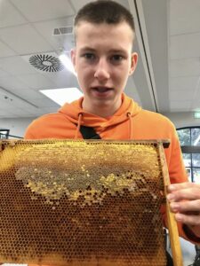 warsztaty pszczelarskie