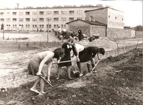 uczniowie porządkują teran 