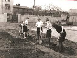 Porządkowanie terenu 
